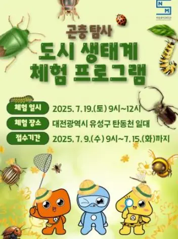 2025년 도시 생태계 체험 프로그램(곤충편) 사진